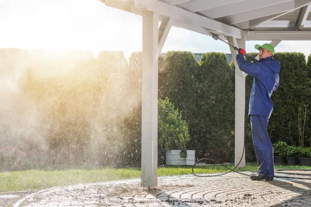 Best Driveway Pressure Washing  in Park Rapids, MN