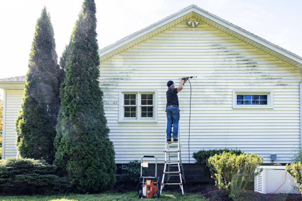 Best Rust Removal  in Park Rapids, MN