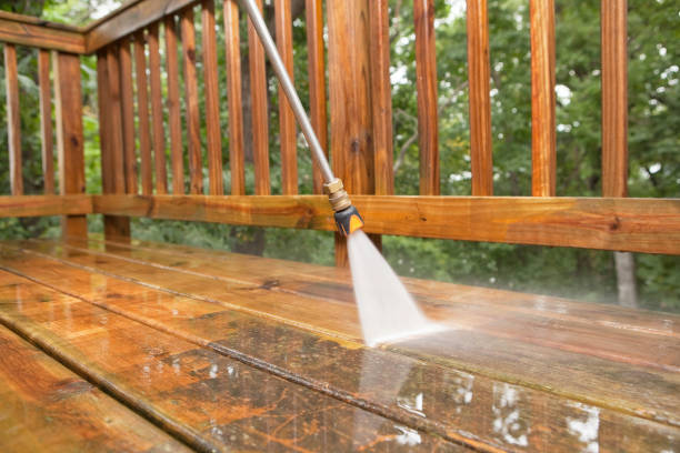 Best Dumpster Area Cleaning  in Park Rapids, MN